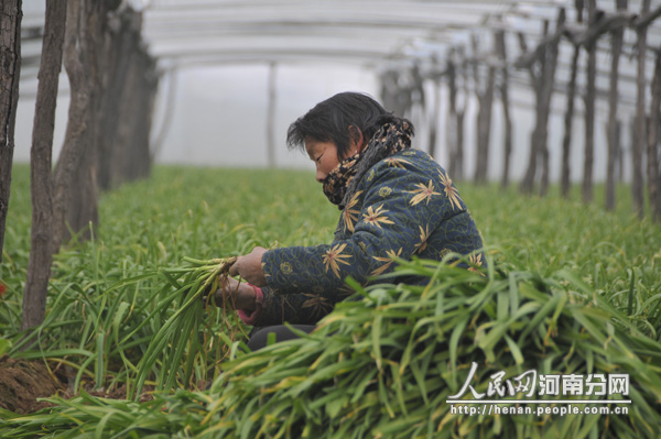 郑州市医保门诊慢性病报销增加至10种--河南分