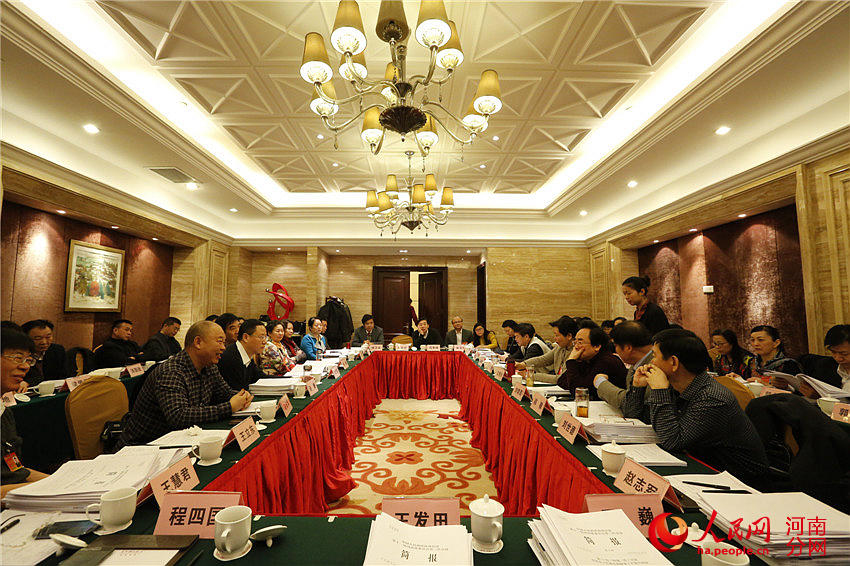 河南省政协委员医药卫生小组讨论政府工作报告