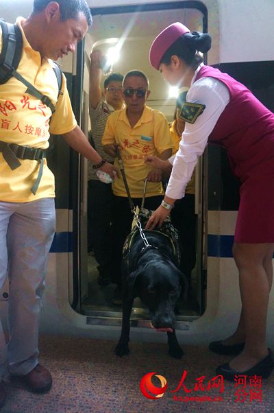 郑州导盲犬首登高铁 盲人之眼迈出文明一大步
