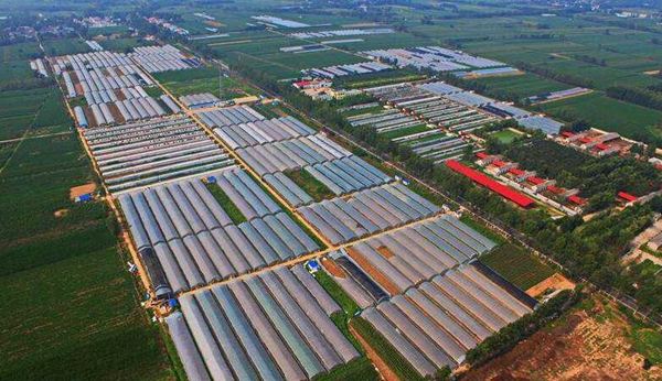 社旗县有多少人口_社旗县最新规划图(3)