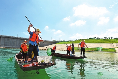 淅川渠首护水队全天候保洁