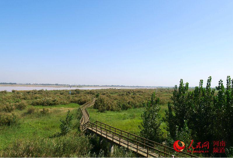 孟津黄河湿地自然保护区：鸟的天堂