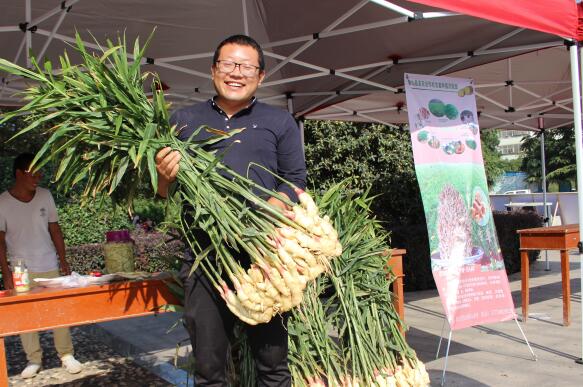 特色农产品出风头 农业产业结构调整全面加速