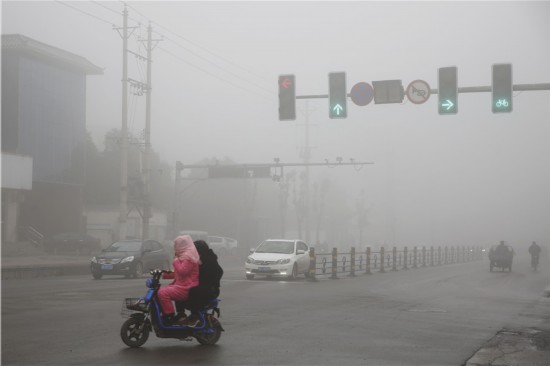 11月13日，河南省宝丰县，浓雾中的交通参与者。