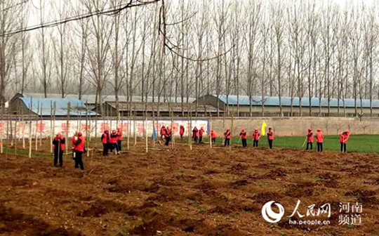 叶县林业“八大工程”稳步推进生态建设