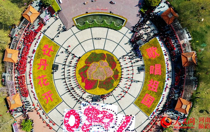 第37届洛阳牡丹文化节赏花活动开幕 部分公园免费