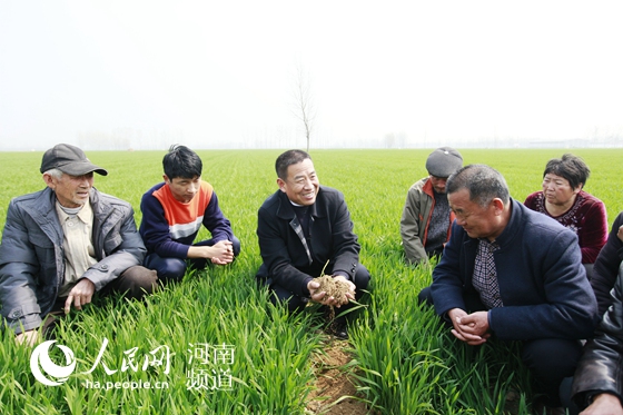 西华：养出好土育好粮 一个产粮大县的“减肥”革命