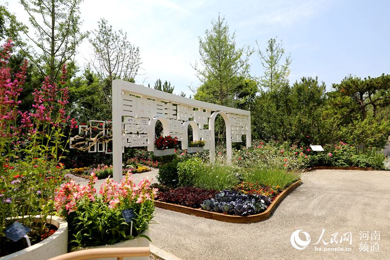 特色花卉、灿烂文明 北京世园会迎来“河南日”