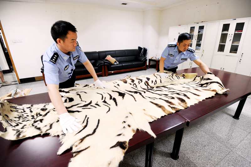 郑州海关成功打掉一个走私珍贵动物制品团伙 案值160万