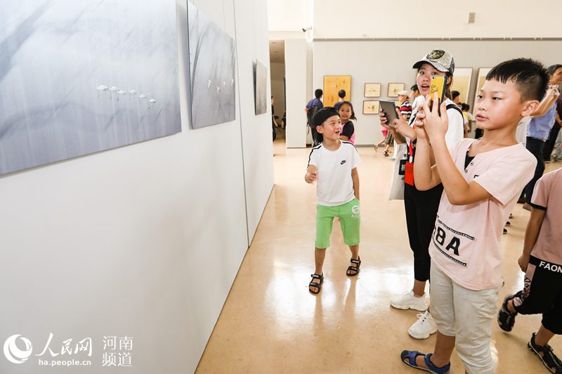 天鹅生态系列作品展郑州开展 将持续到15日
