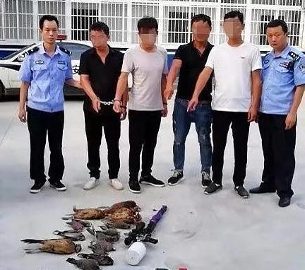 淅川交警查处一起盗猎案 4人非法盗猎国家保护动物被刑拘