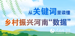河南农村人均年收入_河南农村