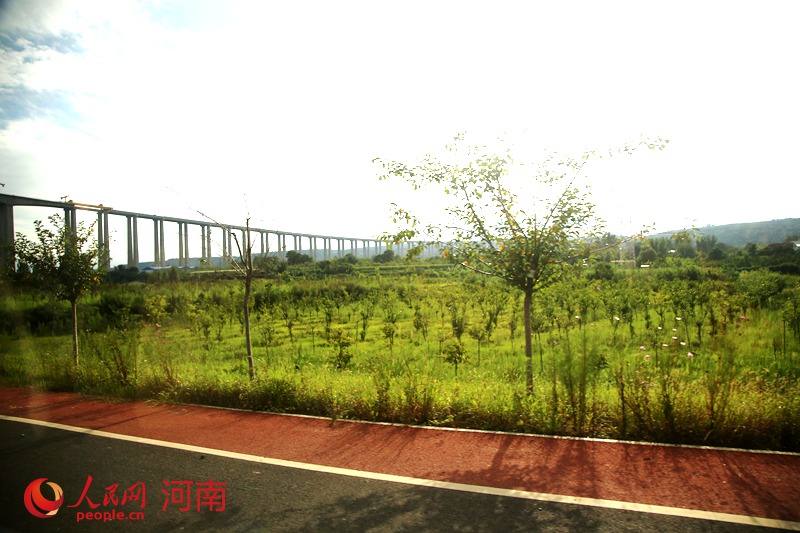 河南三门峡：黄河生态廊道 群众幸福大道