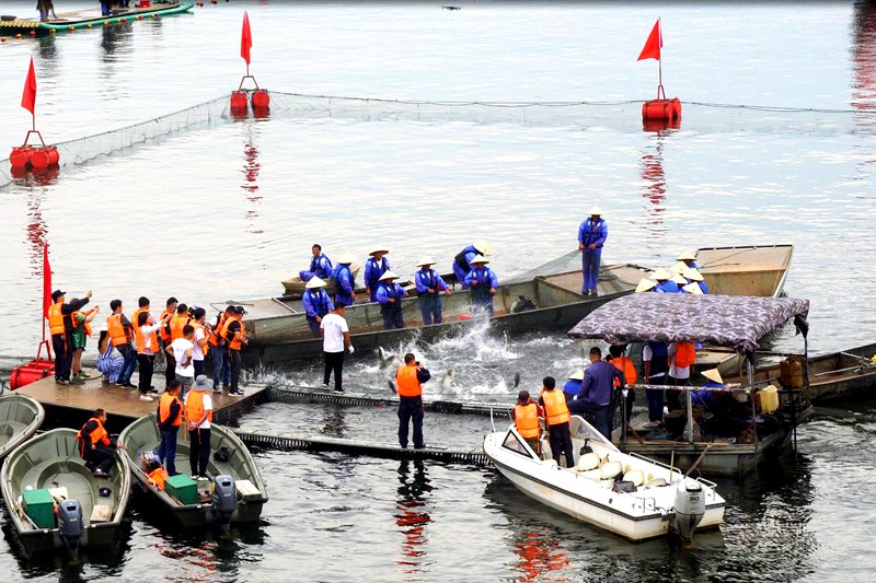 乘风破浪，鱼跃南湾 中国南湾湖第八届开渔节在信阳启幕