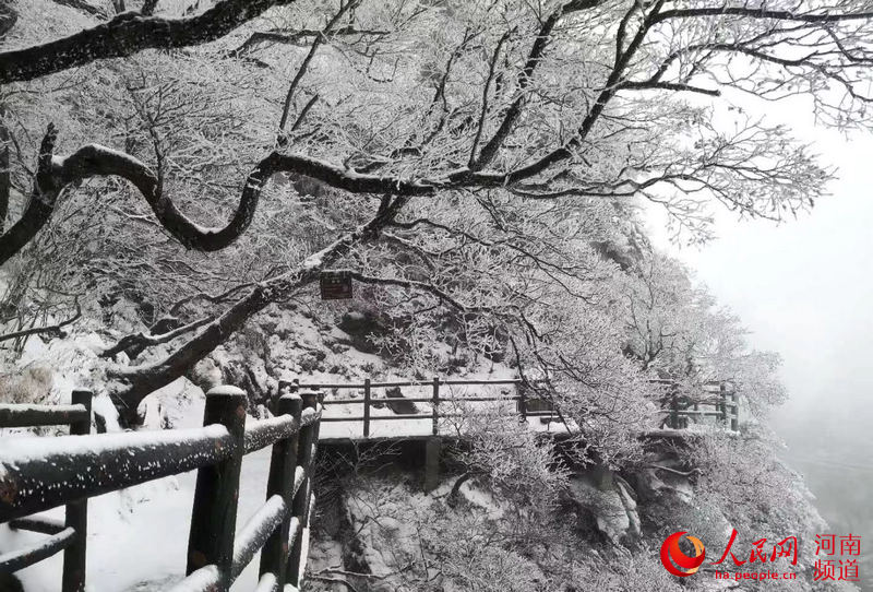 河南鲁山：雪景美如画