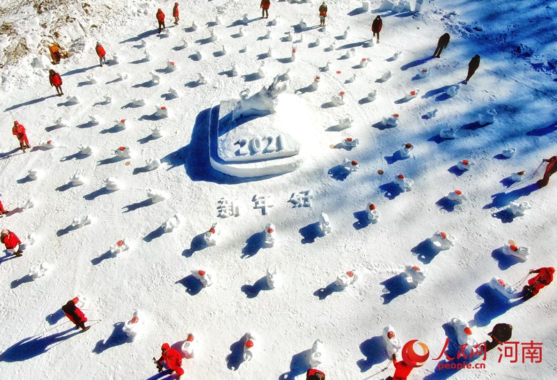 河南栾川雪地堆100雪牛拼百牛送福图迎新年