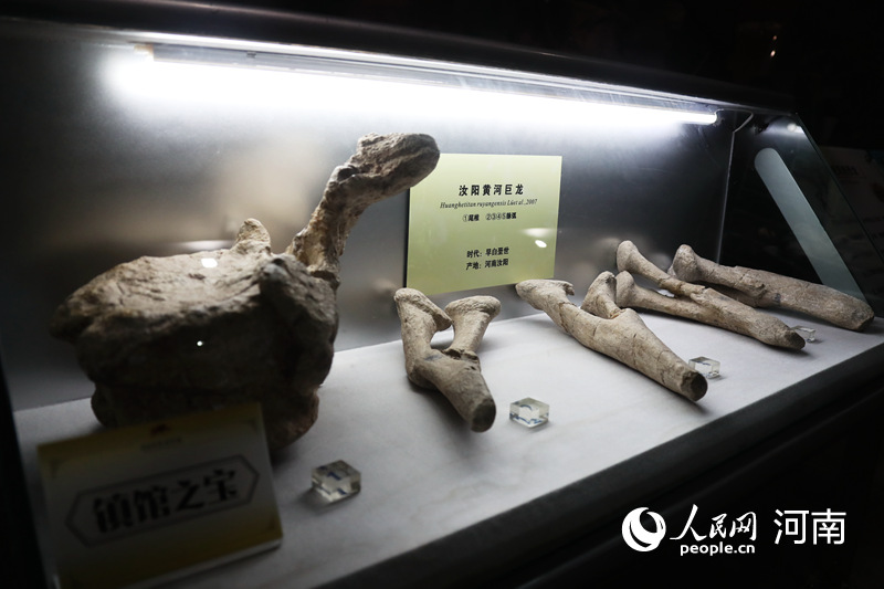 堪称绝品！河南自然博物馆发布首批十大镇馆之宝