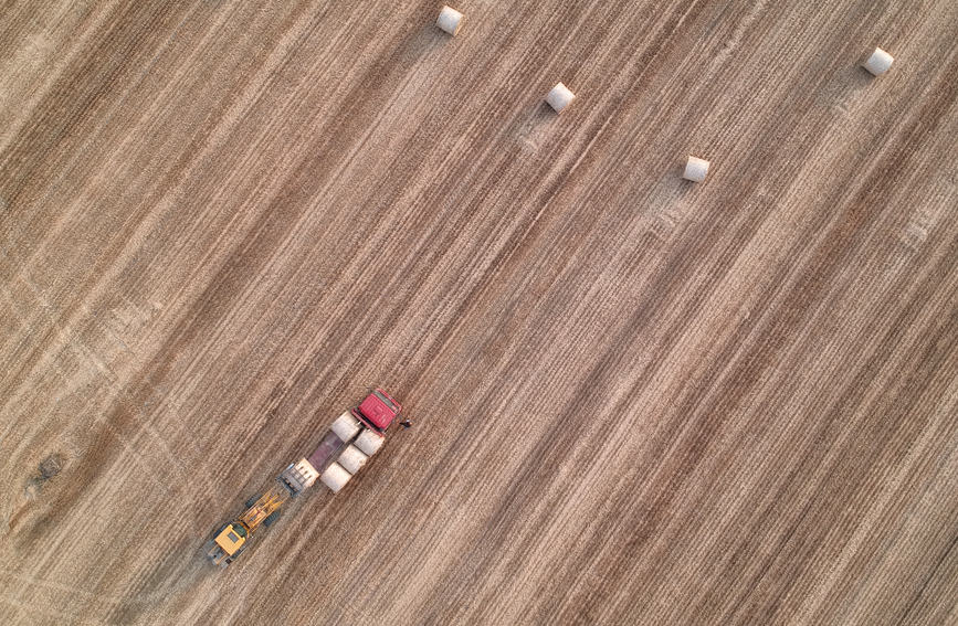 秸秆打捆机参与麦收作业。物尽其用，变废为宝。商水县农业农村局供图