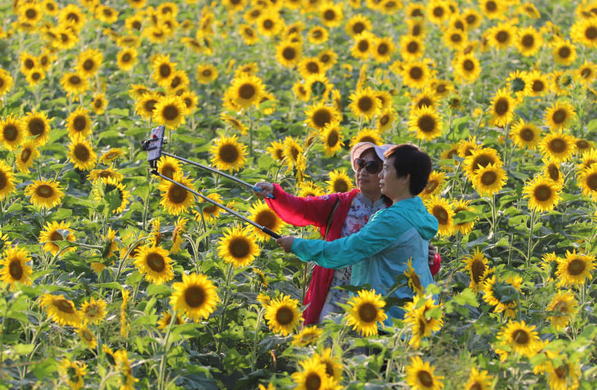 ����������������������� 