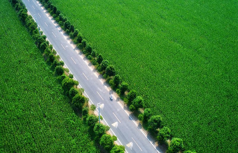 河南：农村公路开启乡村振兴的“加速器”