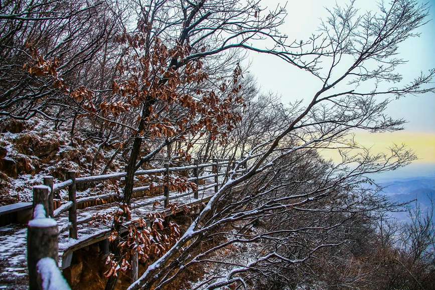 河南云台山：半山红叶半山雪