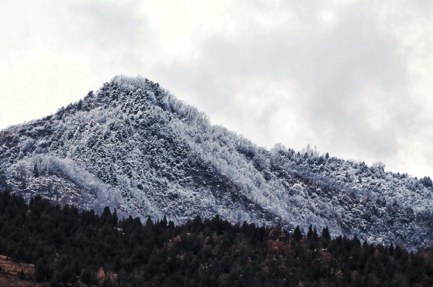 11月29日，地处豫西伏牛山区的河南卢氏县迎来了初冬的第一场降雪。聂金锋摄