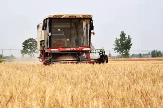 孟州市加快提升农业现代化科技化水平