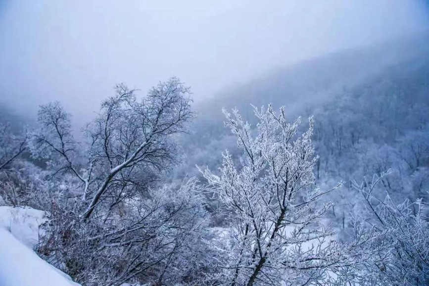 河南雲台山景區迎來虎年初雪，群山銀裝素裹，美不勝收。雲台山景區供圖