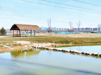 园火狐电竞林景观一期工程已基本完成中国仰韶文化博物馆预计10月完工(图1)