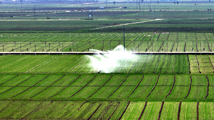河南鶴壁市浚縣高標准農田內正在進行澆水作業。張書凱攝