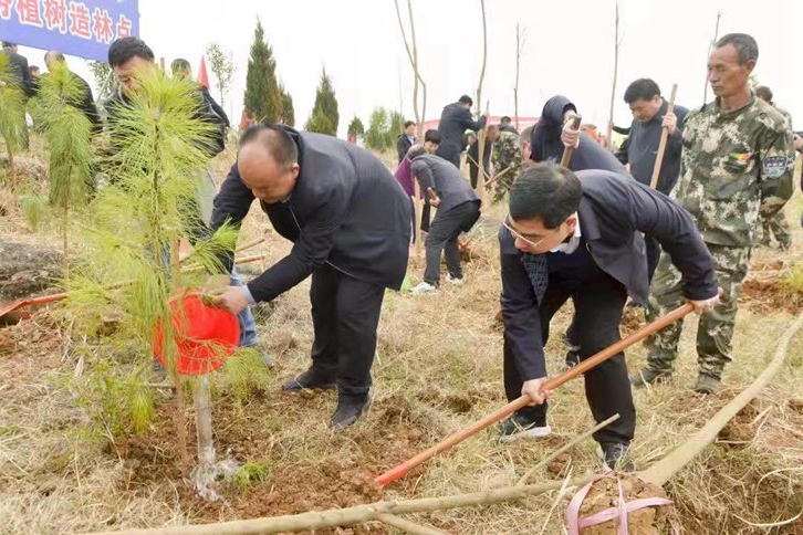 淅川县开展春季义务植树活动