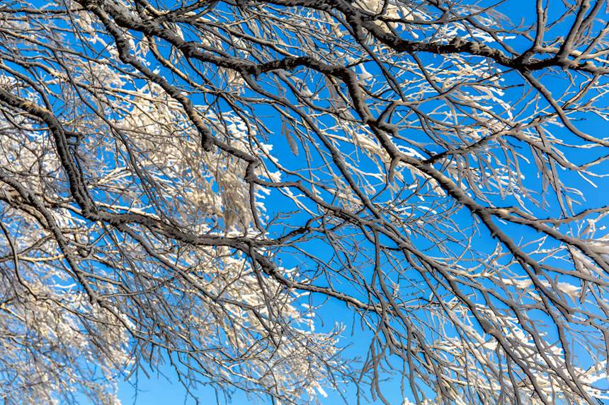 雪后初晴，河南省魯山縣堯山美若仙境。馬進偉攝