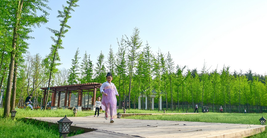 洛阳1500亩“城市绿肺” 成为市民游客游玩的好去处