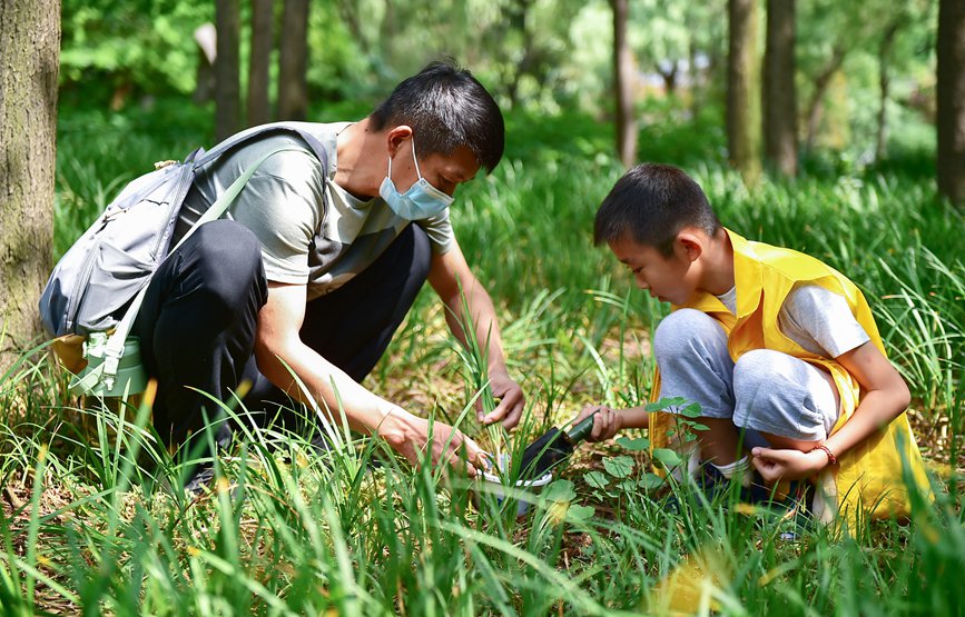 6月5日，小朋友與家長在研學課堂上體驗植物“收種”芒種習俗。黃政偉攝