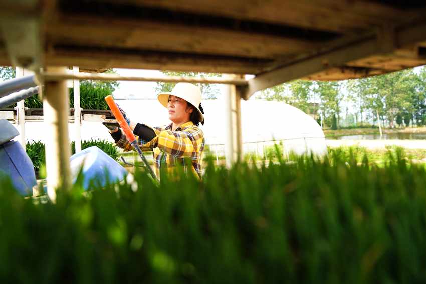 ����ũ��Ϊ������װ���硣������