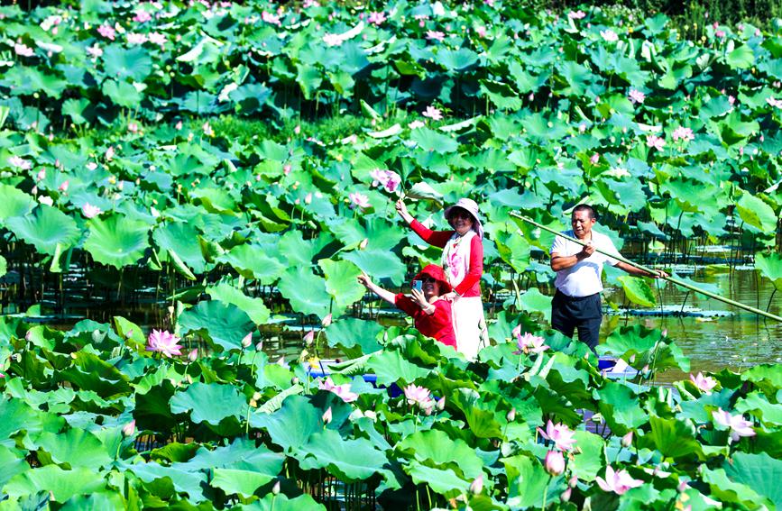 οɽ̺ղôڹ̫պɻл