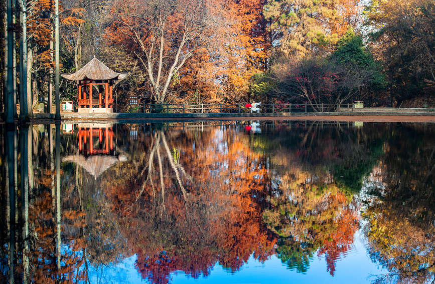 醉美波爾登。張愛華攝