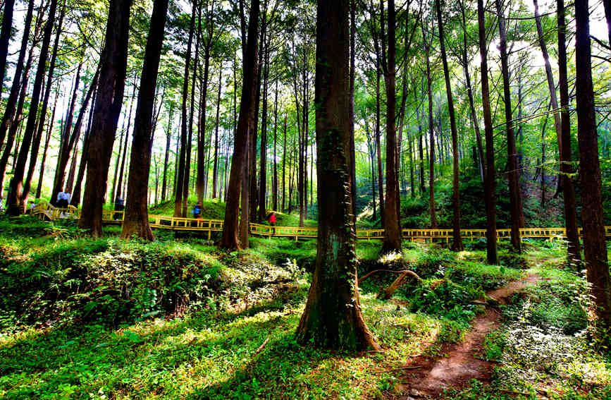 波爾登風光。張衛東攝