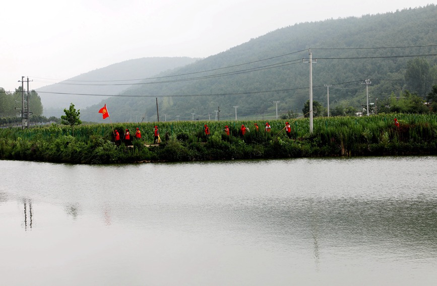 志願者正在丹江支流紫氣河中忙碌著。龐磊攝
