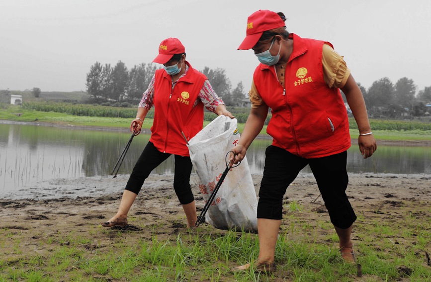 志願者正在丹江支流紫氣河中忙碌著。王倩攝