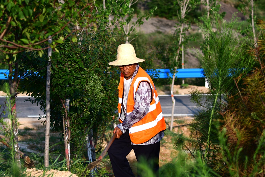 护林员在河南省南阳市卧龙区潦河坡镇国家储备林项目区进行林木管护作业。陈辉摄