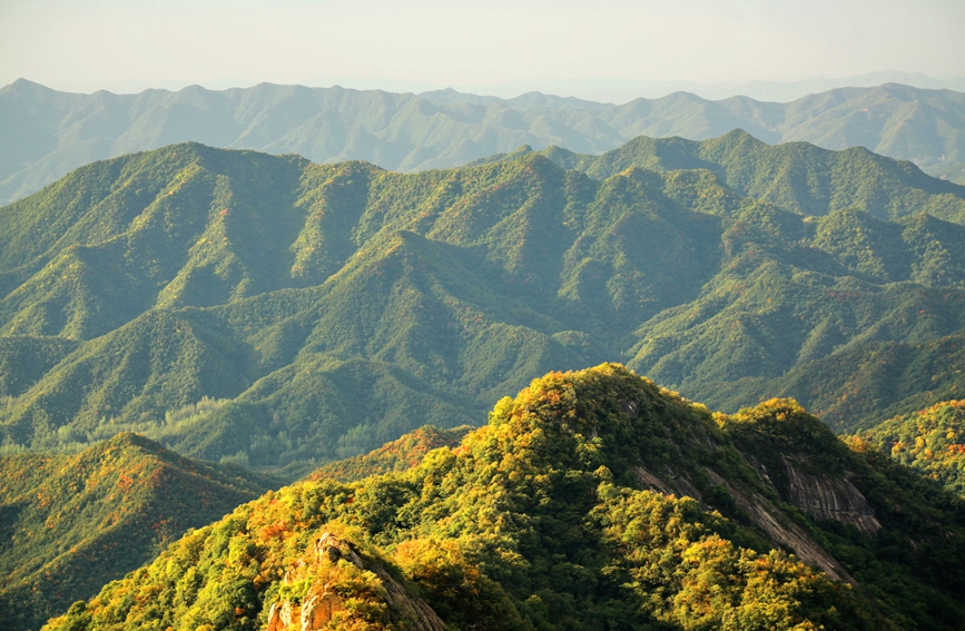 山曼沟壑纵。李志来摄