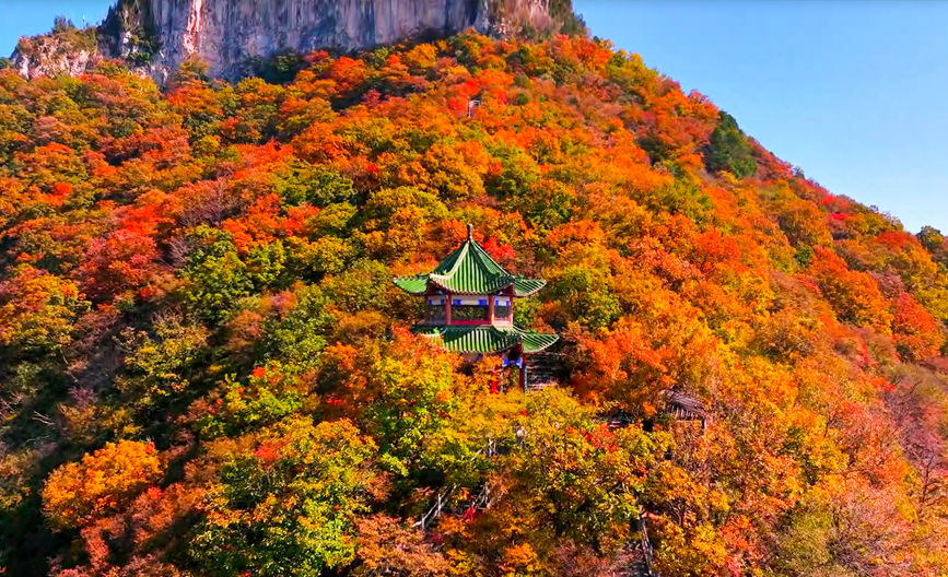 云台山景区中漫山彩林，色彩斑斓。孙庆新摄