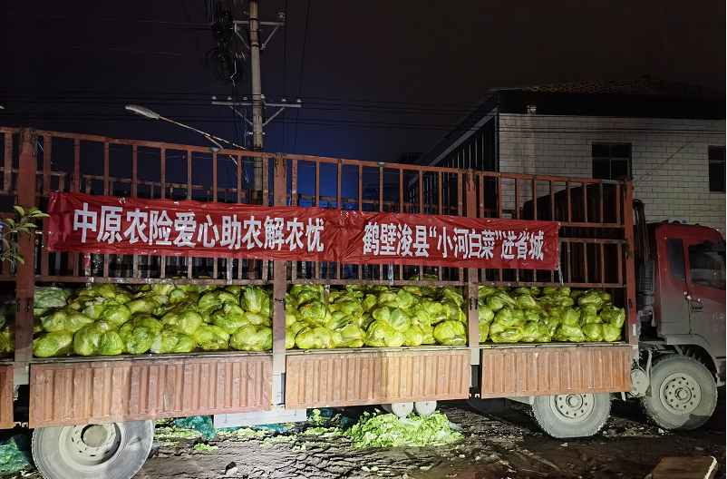浚县万余斤小河白菜和萝卜销售出去了。
