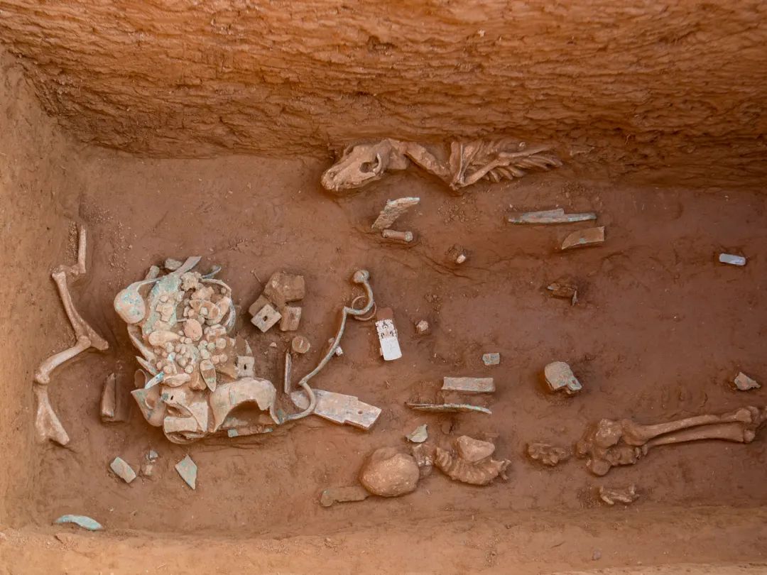 祭祀坑内发掘出的商代玉器以及青铜器。麻翛然 摄