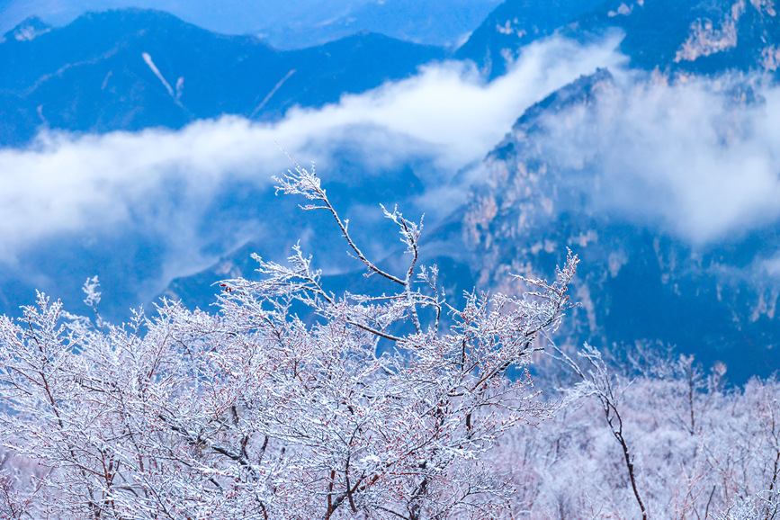 雲台山景區現雲海霧凇景觀。徐萌毅攝