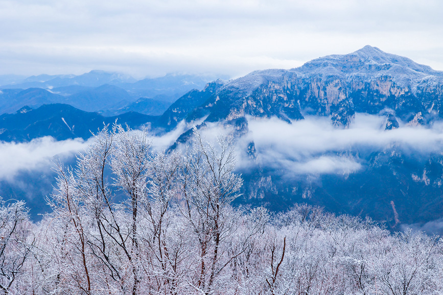 雲台山景區現雲海霧凇景觀。徐萌毅攝