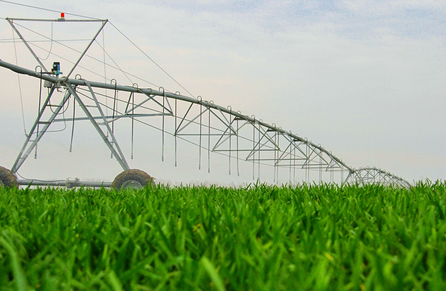 在河南南阳西谢营村高标准农田，农民通过智能操控对小麦进行自动灌溉。高嵩摄