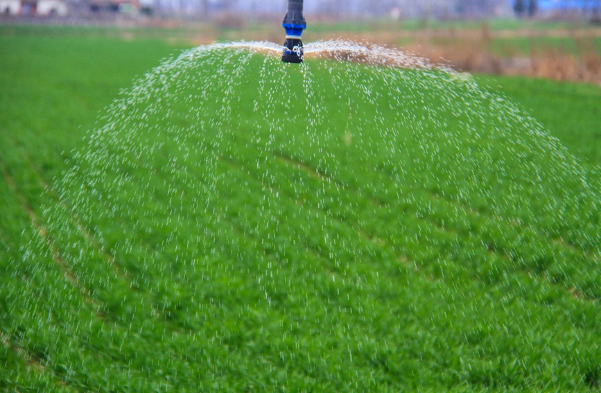 在河南南阳西谢营村高标准农田，农民通过智能操控对小麦进行自动灌溉。高嵩摄