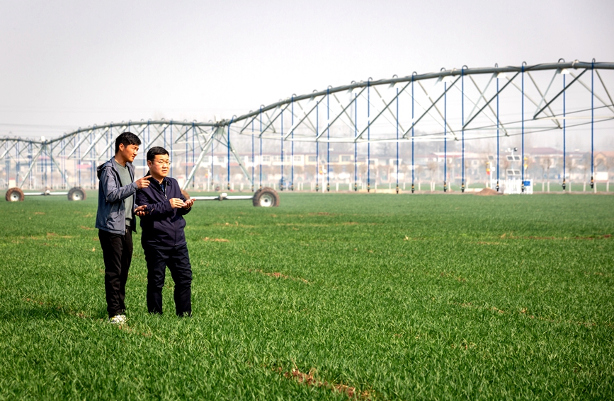 安阳县高标准农田示范区内，瓦店乡种植大户张先智（左）在承包田内向农业技术人员介绍小麦浇水施肥情况。王建安摄